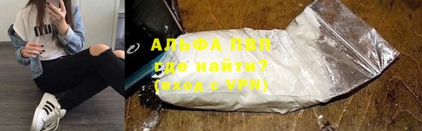 индика Магас