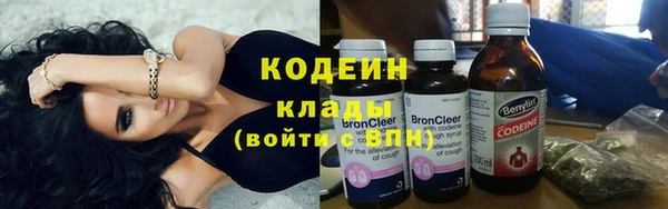 индика Магас
