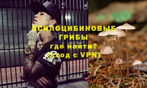 ПСИЛОЦИБИНОВЫЕ ГРИБЫ Артём