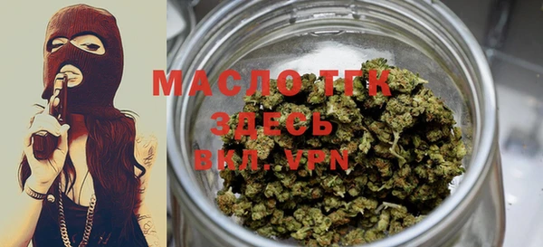 индика Магас