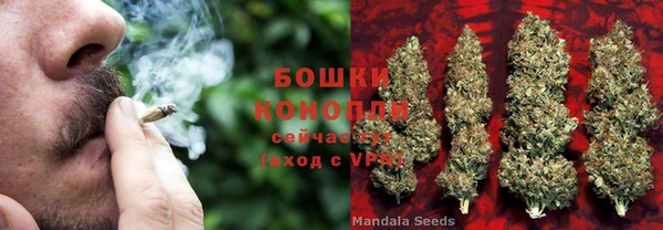 дживик Магадан